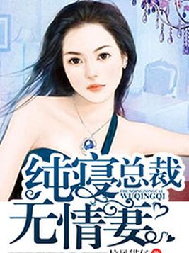 女主叫文淑雅宁