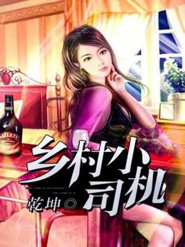 奉子为婚小说