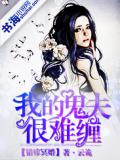 夫君才不是黑莲花TXT