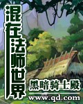 上门龙婿叶辰大结局完整版