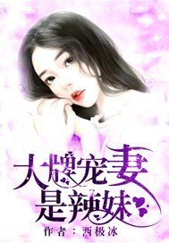 辣文漫画小说