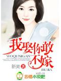 女主嫁给历史名人的小说